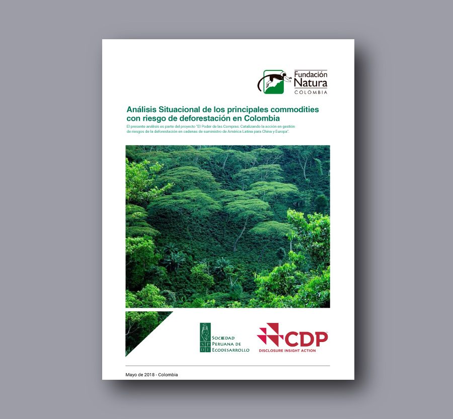 Análisis situacional de los principales commodities con riesgo de deforestación en Colombia