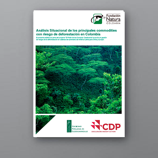 Análisis situacional de los principales commodities con riesgo de deforestación en Colombia