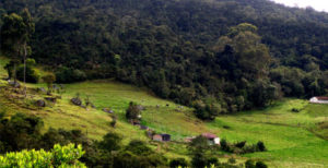 Reserva Biología Encenillo (Guasca, Cundinamarca
