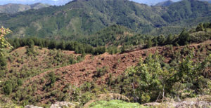 Reserva Biológica El Silencio (El Retiro, Antioquia).