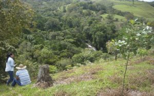 REDD+ Corredor Robles Santander Fundación Natura