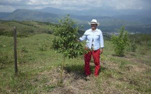 REDD+ Corredor Robles Santander Fundación Natura