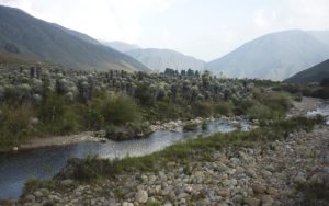 REDD+ Corredor Robles Santander Fundación Natura