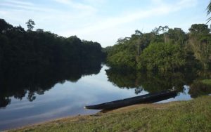 informacion y dialogo amazonia