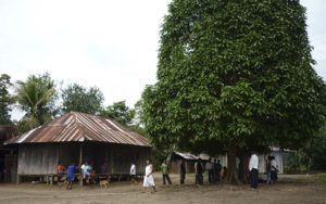 informacion y dialogo amazonia