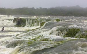 informacion y dialogo amazonia