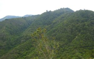 Reserva La Montaña Mágica participante Programa ARA