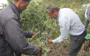 Asistencia técnica al productor rural.