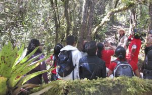 Recorrido guiado por los senderos de la reserva.