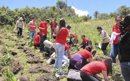 Contribución participativa a la restauración del bosque. Contribución participativa a la restauración del bosque.