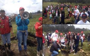 Acompañamiento técnico a la jornada de siembra simbólica.