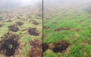 Panorámicas de la siembra en La Calera Siembra Coca Cola