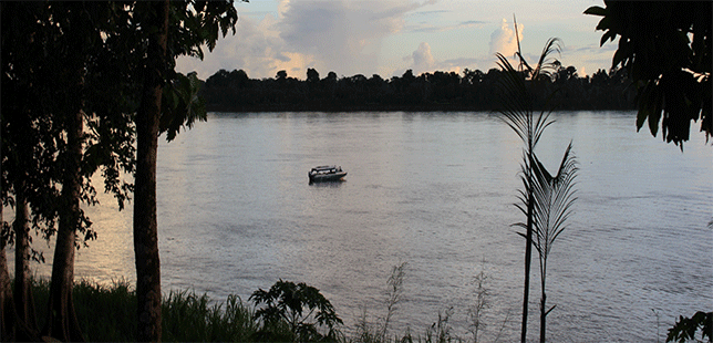Se Busca Empresa Que Desarrolle Web De Plataforma De Información Y Diálogo Para La Amazonia Colombiana (PID)