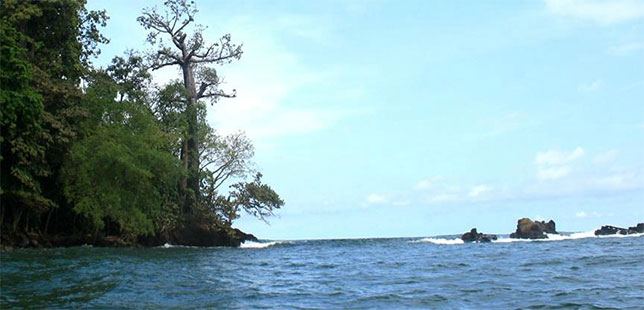 cancun-final3 - Fundación Natura Colombia