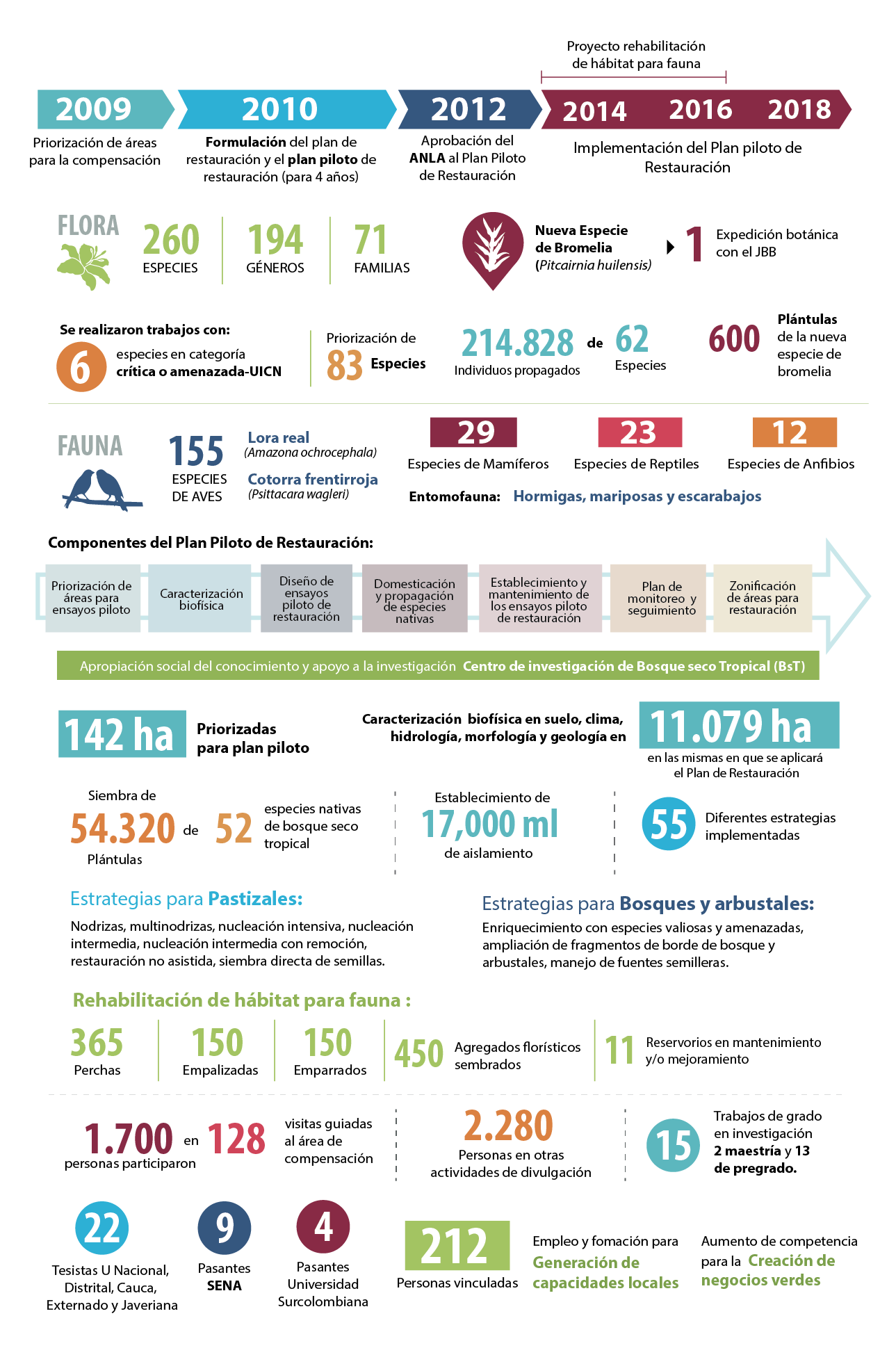 Infografia Quimbo Fundacion natura colombia - Fundación Natura Colombia