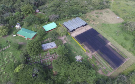 proyecto-Plan-de-restauración-de-Bosque-Seco-Tropical-en-el-Huila-(Fase-II)-fundacion-natura proyecto-Plan-de-restauración-de-Bosque-Seco-Tropical-en-el-Huila-(Fase-II)-fundacion-natura