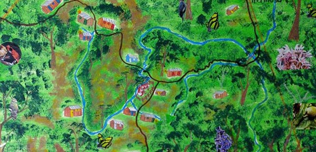 Avanza elaboracion del Plan de Manejo del DRMI Bosques, Mármoles y  Pantagoras (2) - Fundación Natura Colombia