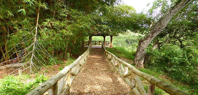 consolidacion centro de investigación de Bosque Seco Tropical - Fundacion  Natura colombia (3) - Fundación Natura Colombia