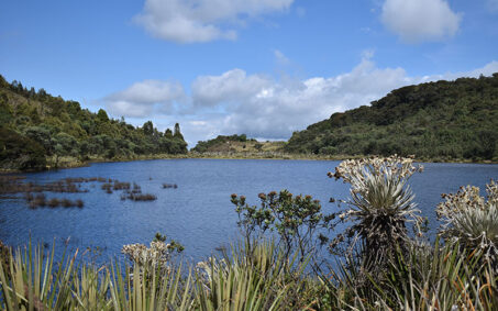 Compensaciones ambientales regional andina-CENIT Fundacion Natura Colombia Compensaciones ambientales regional andina-CENIT Fundacion Natura Colombia