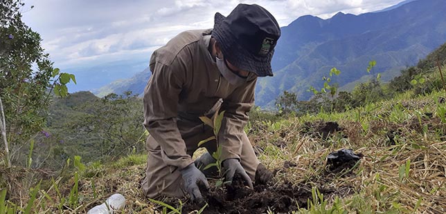 Cómo avanzan las compensaciones ambientales de la alianza Cenit y Fundación  Natura? - Fundación Natura Colombia