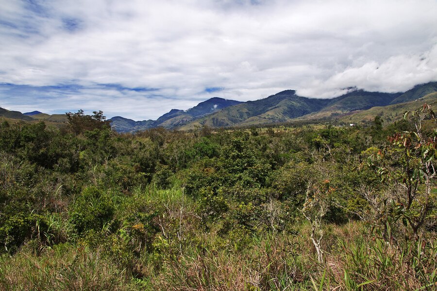 Convocatoria proyecto GEF CBIT: Diseñador gráfico - Fundación Natura  Colombia