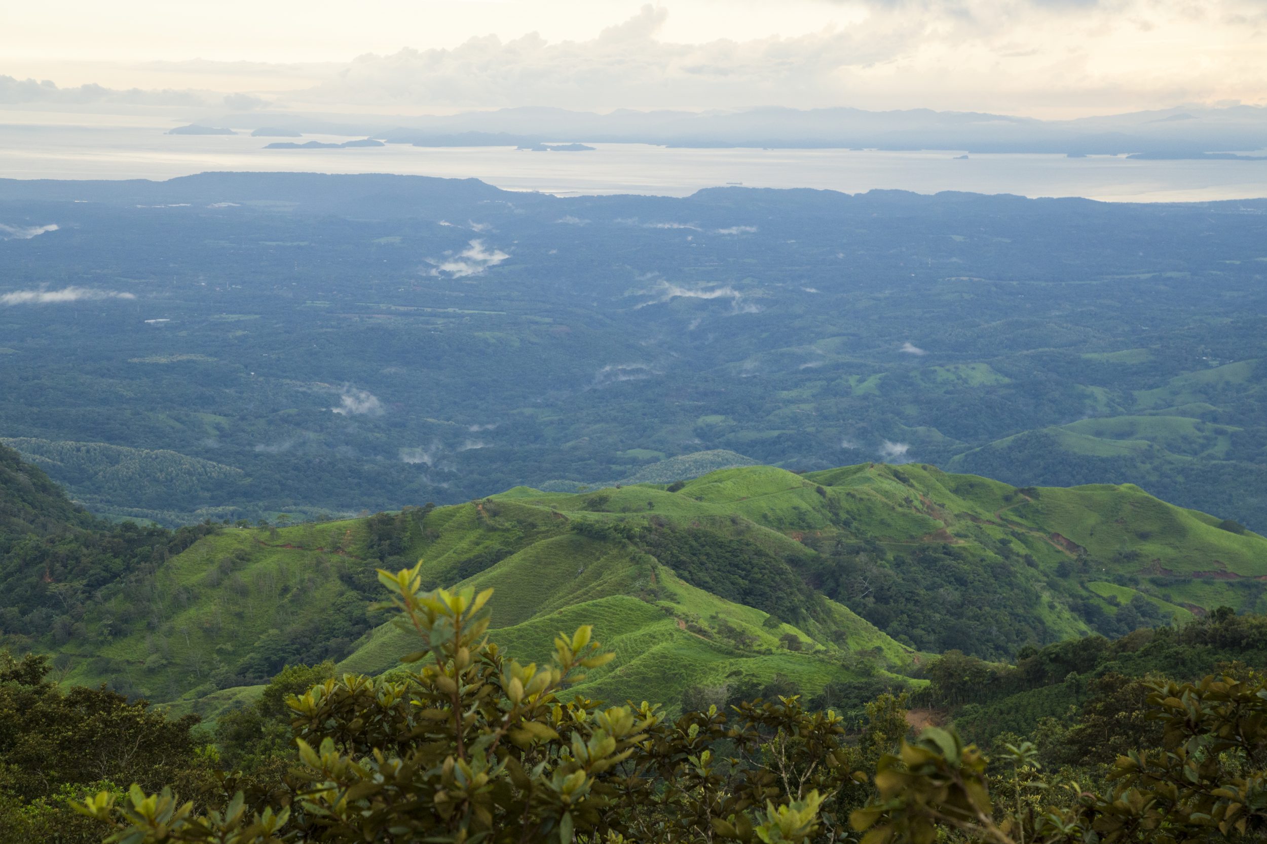 Convocatoria proyecto GEF CBIT: Profesional líder del Inventario Nacional  de Gases de Efecto Invernadero (INGEI) de Colombia - Fundación Natura  Colombia