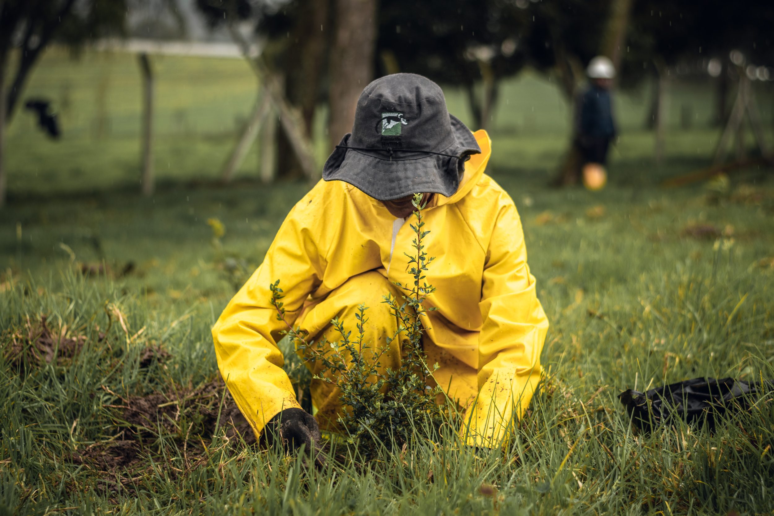 Vacante Inspector HSEQ Caldas, Risaralda y Valle del Cauca - Fundación  Natura Colombia