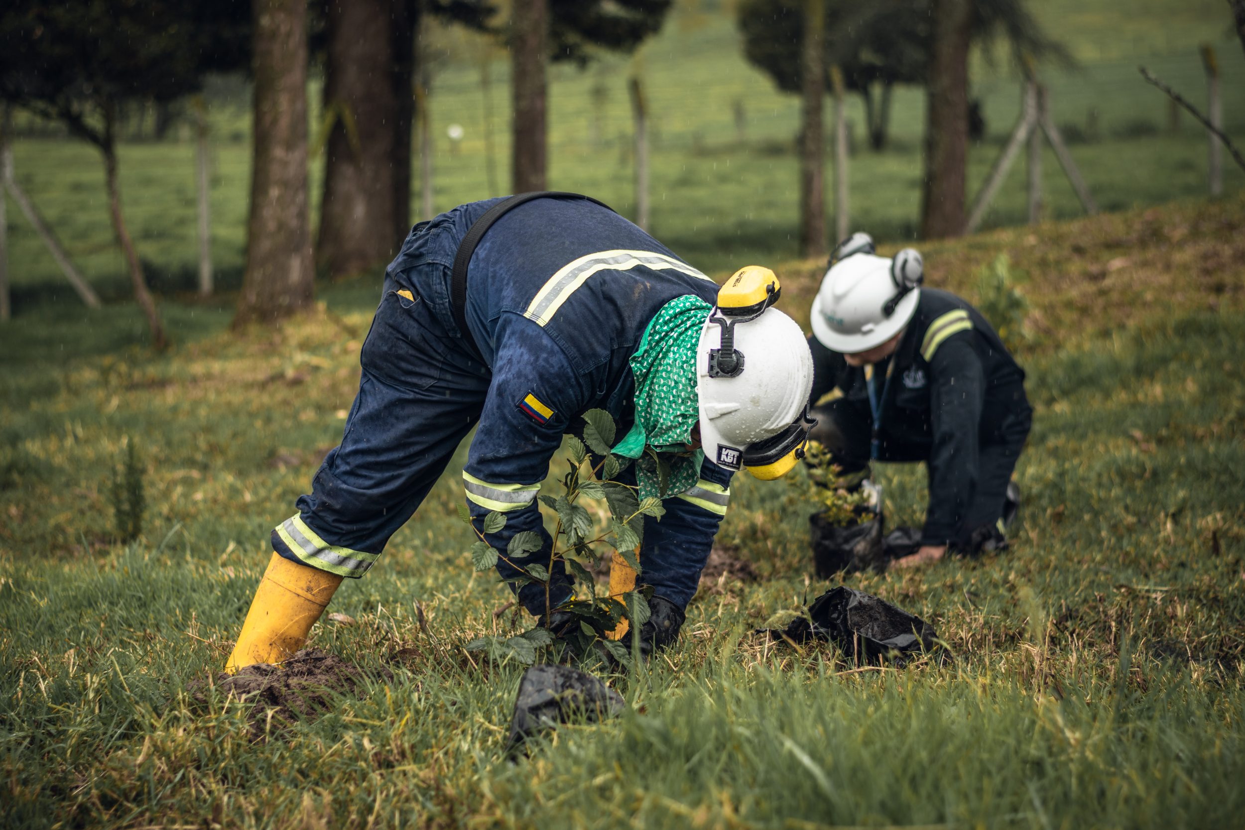 Vacante Inspector HSEQ Antioquia, Cundinamarca y Tolima - Fundación Natura  Colombia