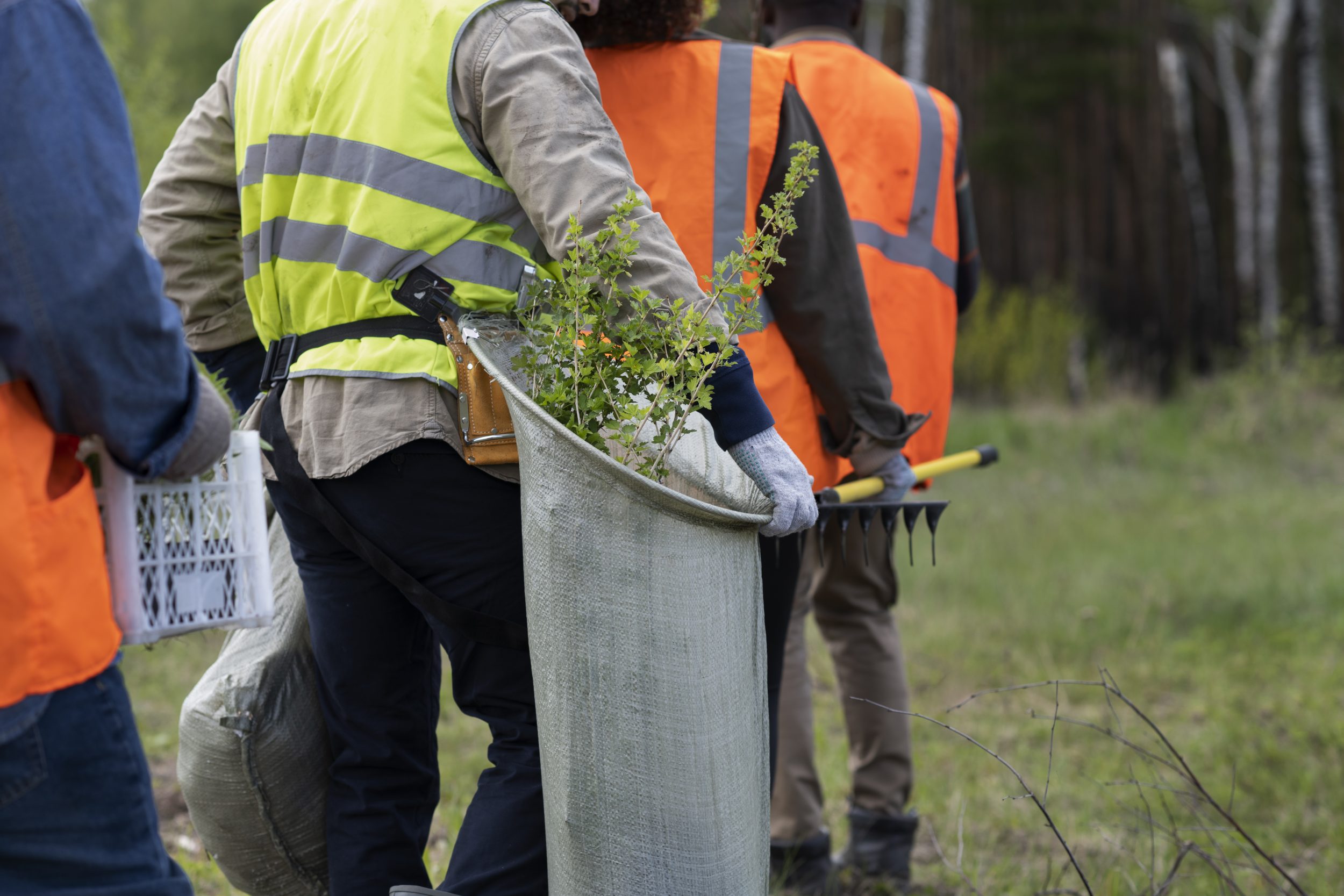 Vacante Inspector HSEQ Antioquia, Cundinamarca y Tolima - Fundación Natura  Colombia