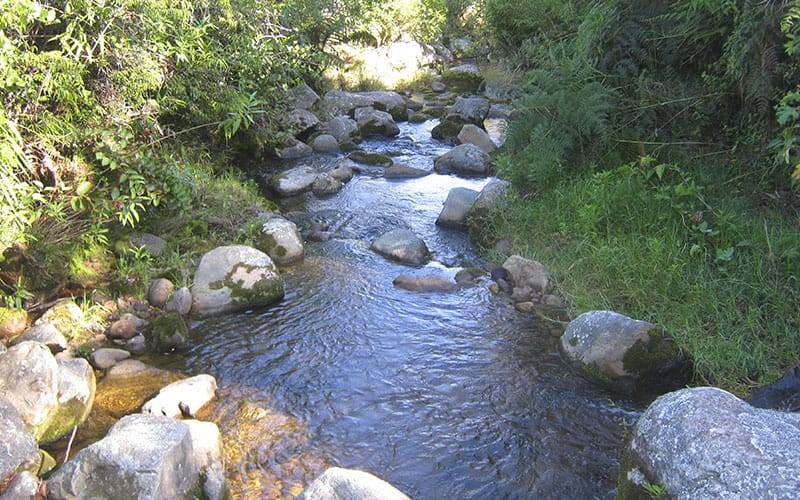 Quebrada El Ramo